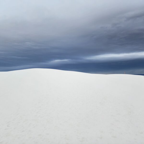 In the dunes