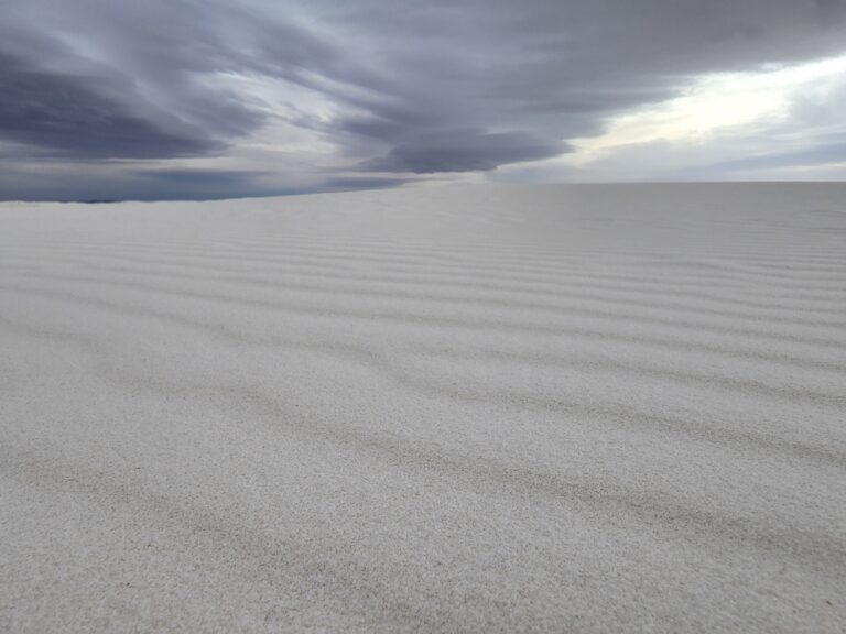 Read more about the article White Sands National Park