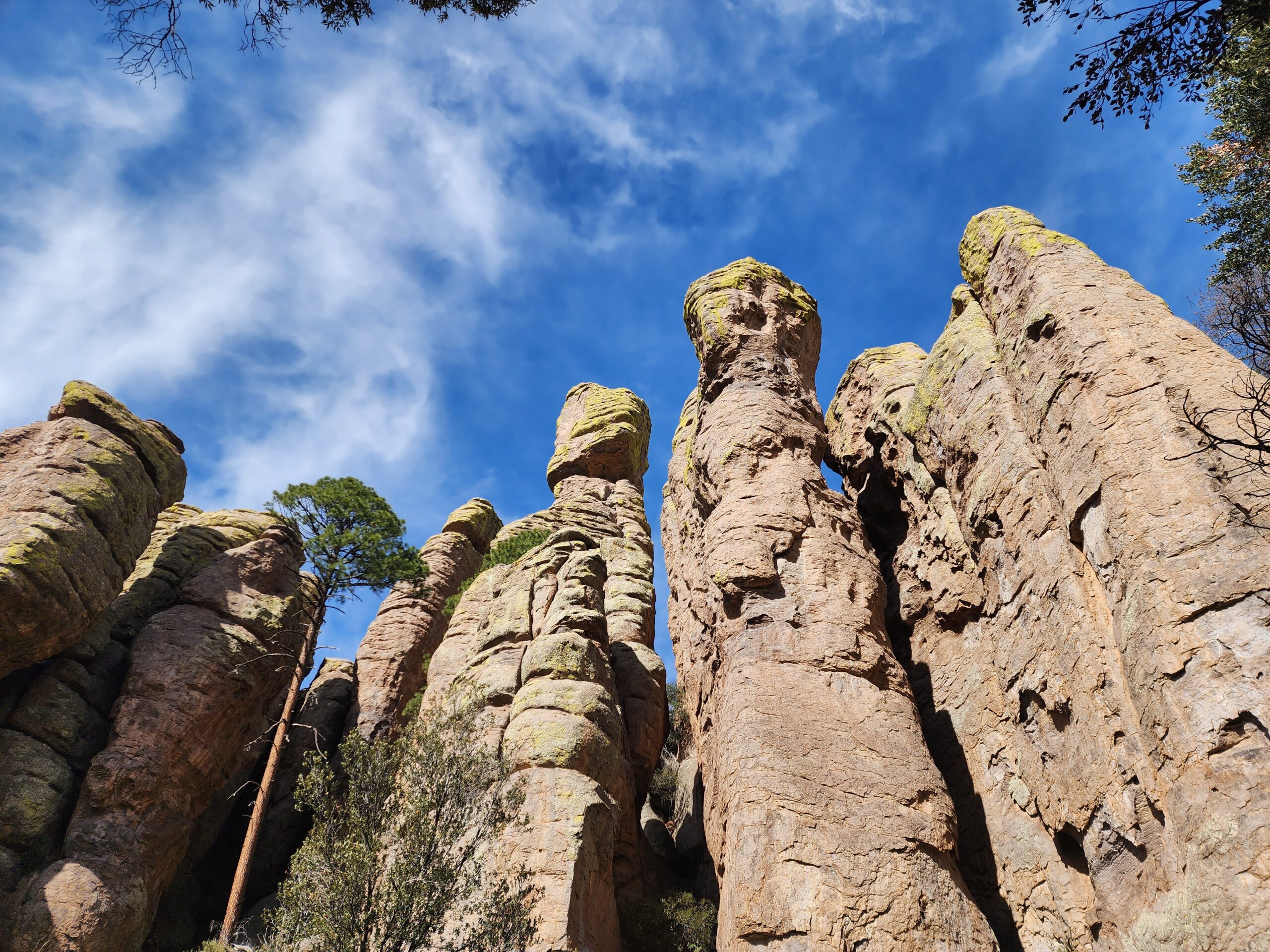 Read more about the article Chiricahua National Monument