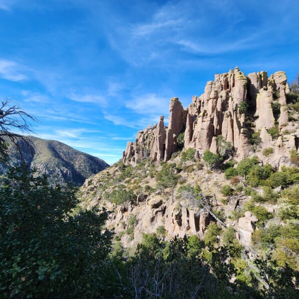 Rhyolite Canyon